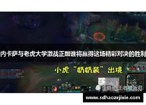 内卡萨与老虎大学激战正酣谁将赢得这场精彩对决的胜利
