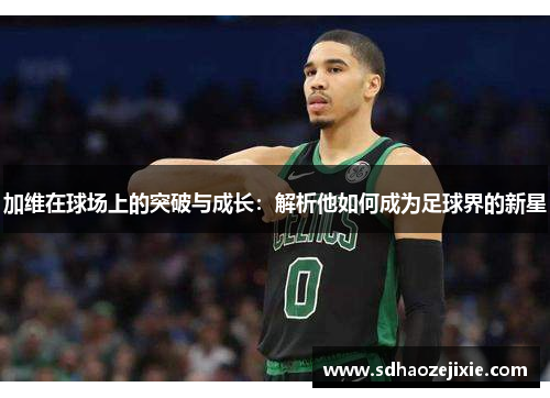 加维在球场上的突破与成长：解析他如何成为足球界的新星