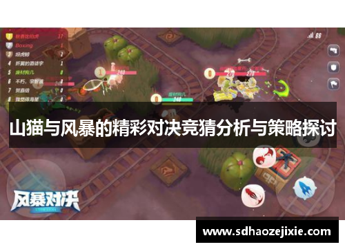 山猫与风暴的精彩对决竞猜分析与策略探讨
