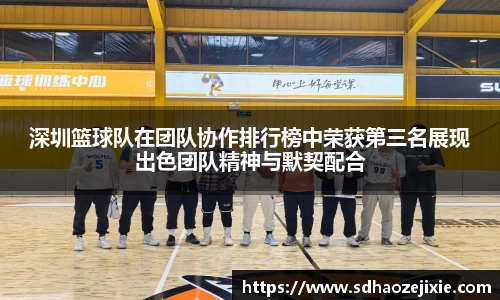 深圳篮球队在团队协作排行榜中荣获第三名展现出色团队精神与默契配合