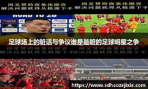 足球场上的脏话与争议谁是最脏的足球明星之争